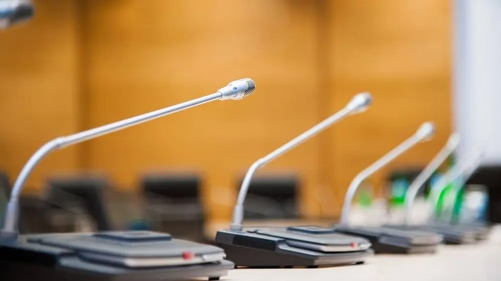 delegated mic rental (2)